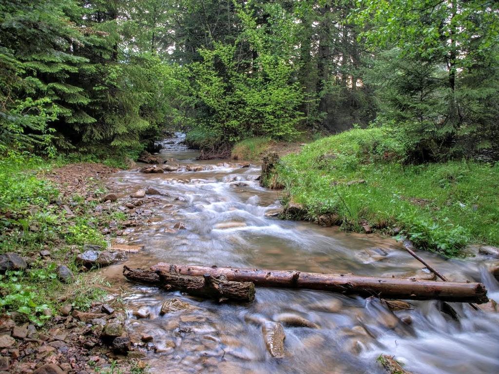 12 Months Estate Guest House Myslovka Luaran gambar